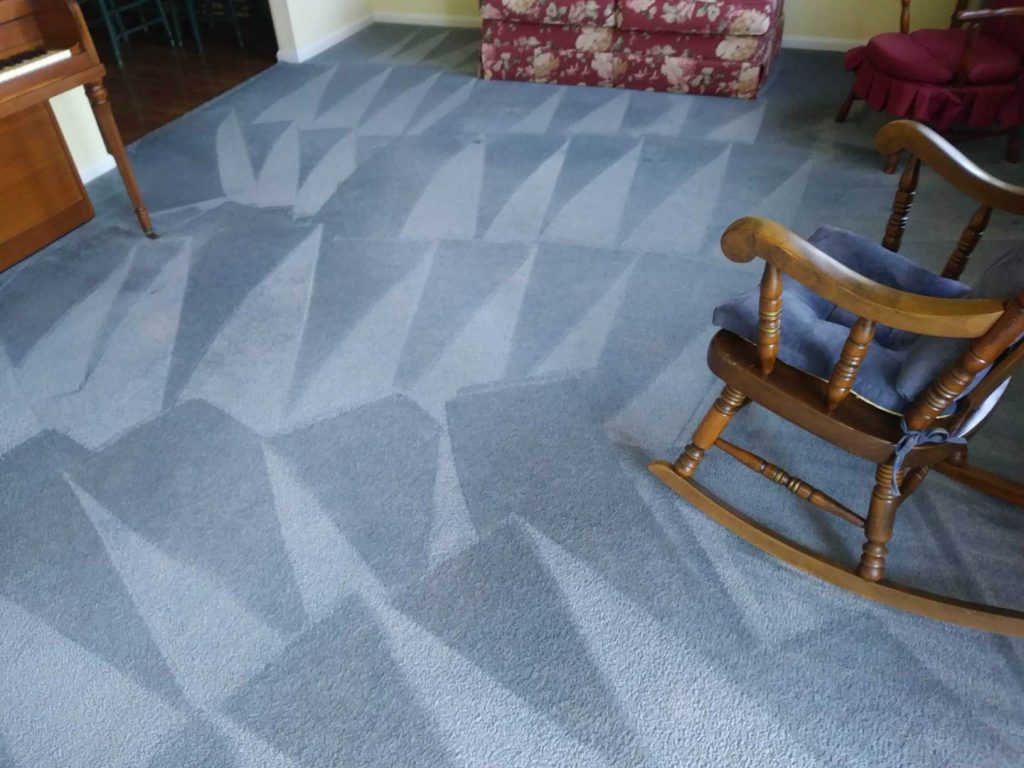 Carolina Pro Clean carpet cleaning