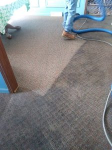 Carolina Pro Clean carpet 2